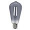 Feit Electric Feit ST19 E26 (Medium) LED Bulb Smoke Daylight 25 Watt Equivalence 1 pk ST19/SMK/VG/LED - alternate 3